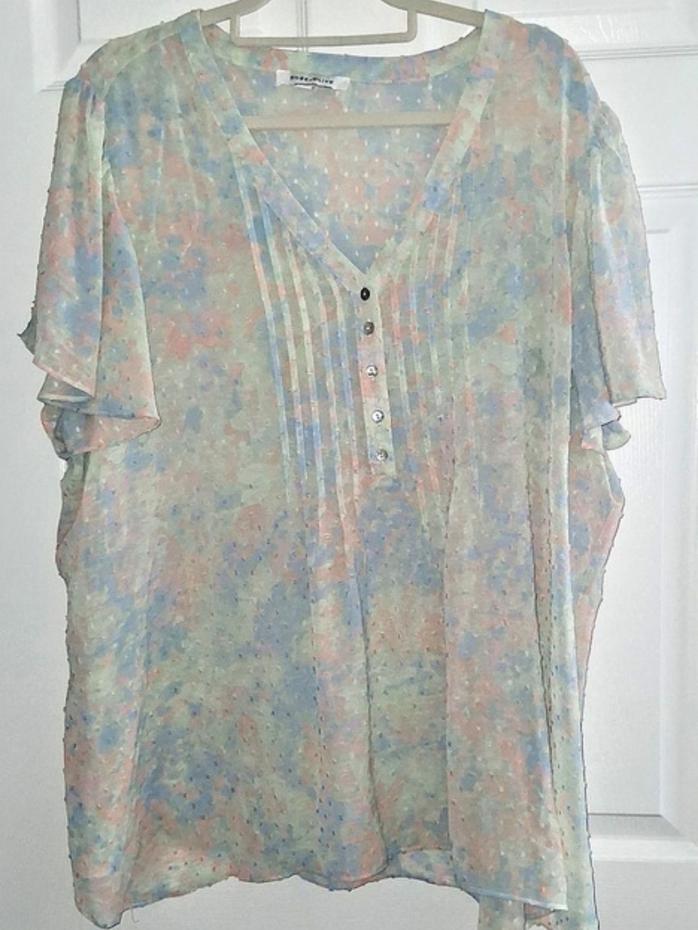 Rose + Olive Floral Short Sleeve Sheer Blouse Blue & Pink Size 2X